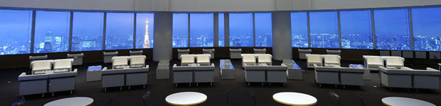 http://www.timeshighereducation.co.uk/Pictures/web/k/l/z/view-from-academy-hills-tokyo.jpg