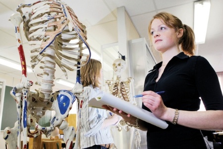 Medical student studying skeleton