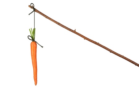 Carrot on a stick