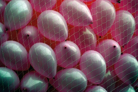 Pink balloons in a net