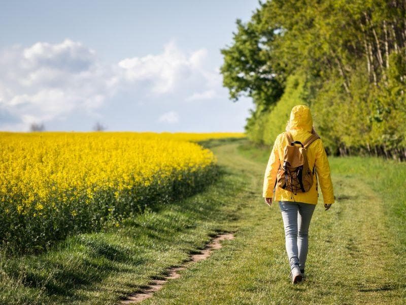 Woman walking past a field of yellow flowers