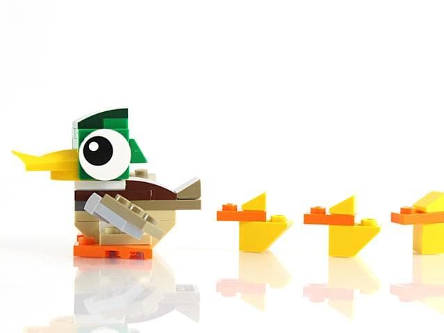 Why getting a PhD is just like building a Lego duck