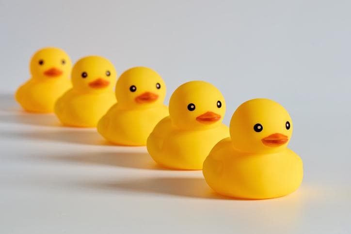 Rubber ducks in a row illustrating reproducible research
