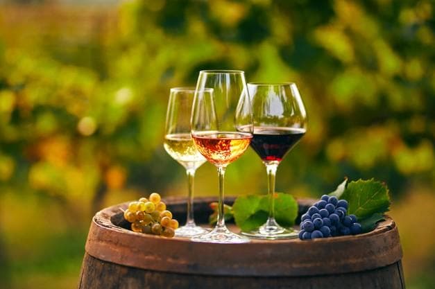 Winery in Baja California knowledge exchange universities