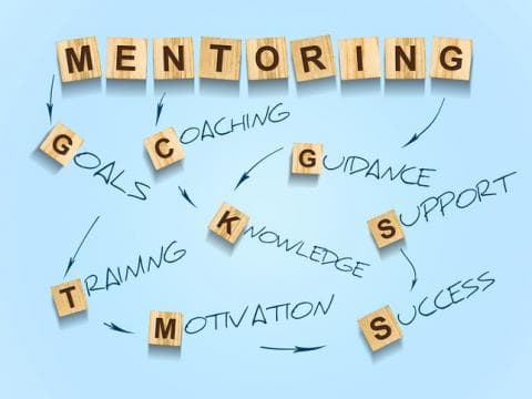 The importance of a structured mentorship programme for ECRs cannot be overstated