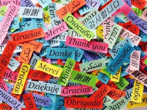 The importance of promoting multilingual approaches in international universities
