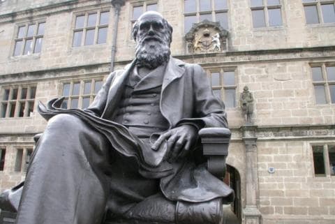Darwin and teaching originality in university