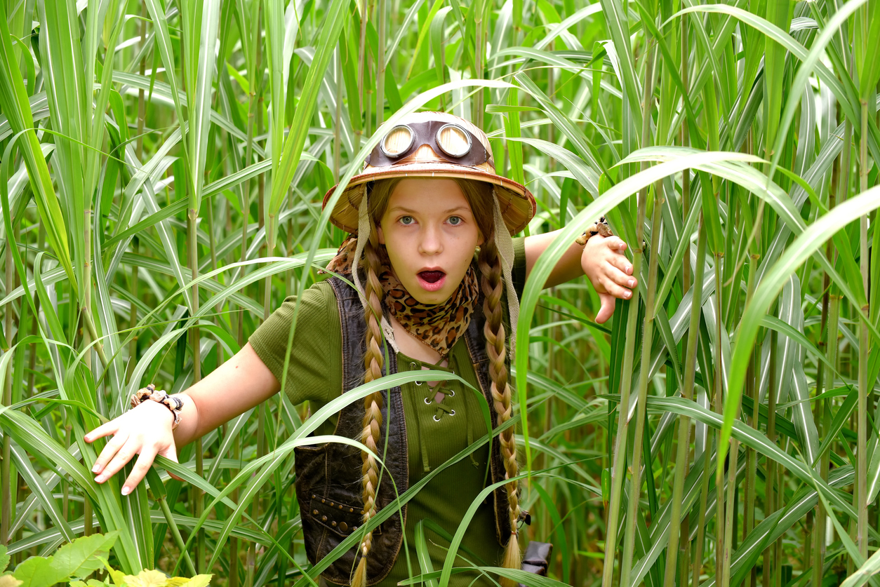 Explorer in pith helmet, wading through tall grass
