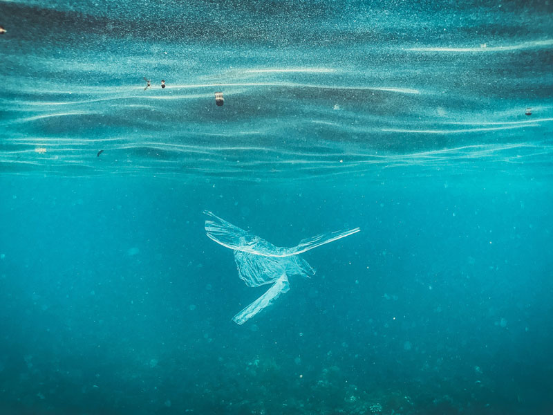 Sorbonne University Abu Dhabi