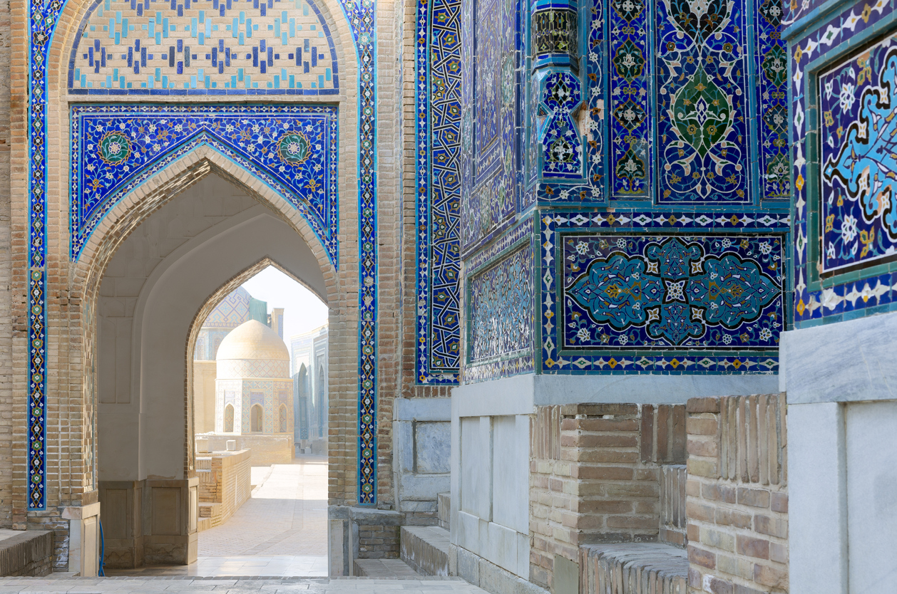 Applying to university in Uzbekistan