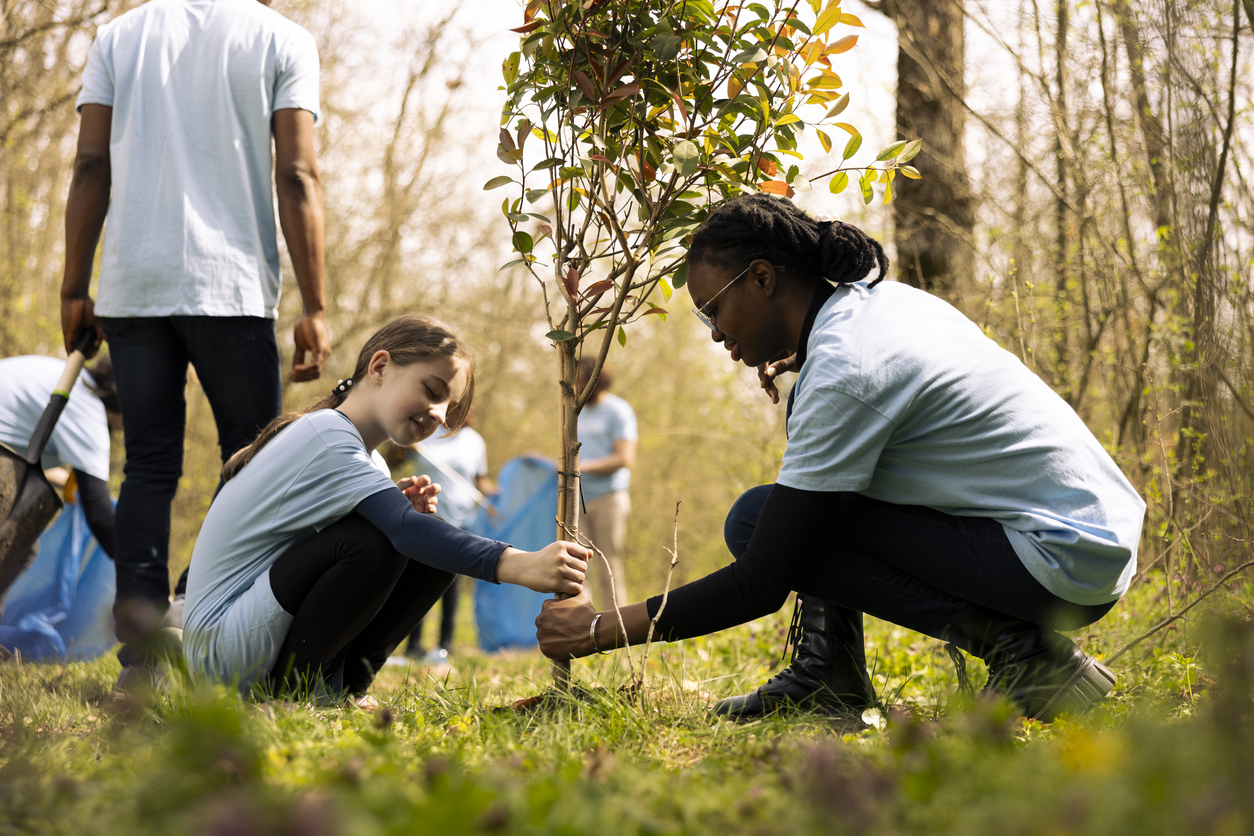 School child helping to plant a tree