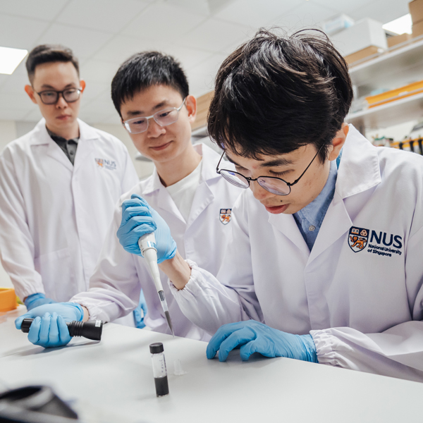 THE_newsletter-2025_Native_600x600