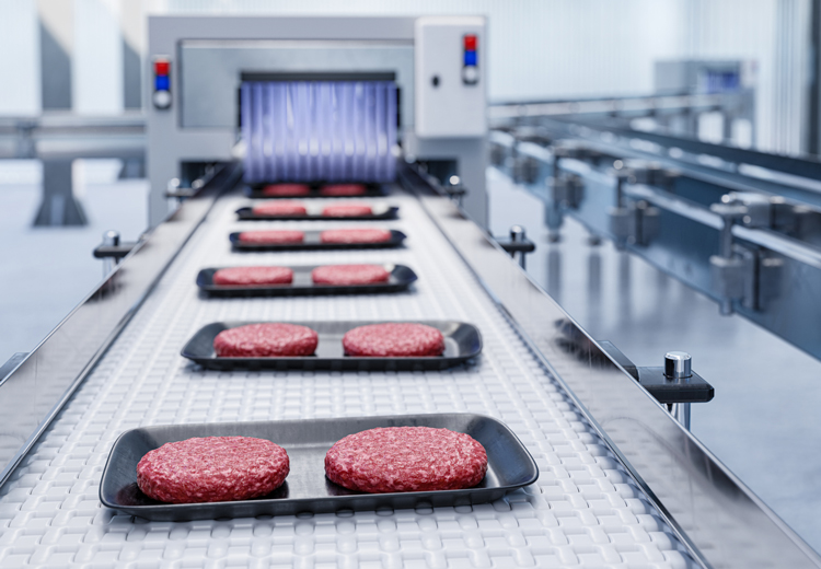 Conveyor belt in a factory of plant-based burgers