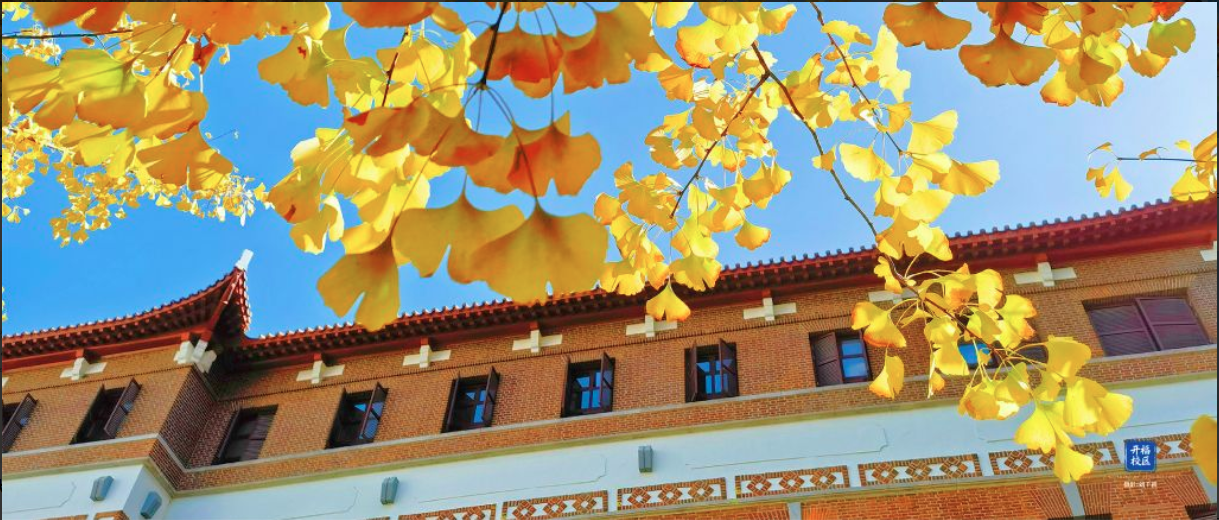 Review Hohai University: Đánh Giá Về Chất Lượng Đào Tạo, Cơ Sở Vật Chất và Cơ Hội Nghề Nghiệp 6 Review Hohai University