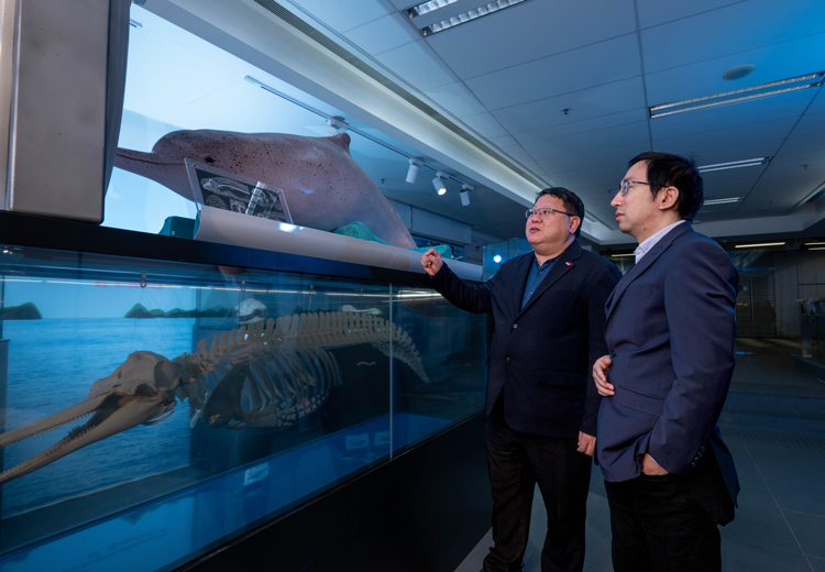 Kenneth Leung Mei Yee, chair professor of the Department of Chemistry and associate dean of the College of Science at CityUHK
