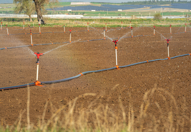 Automatic sprinkler irrigation system watering a farm 