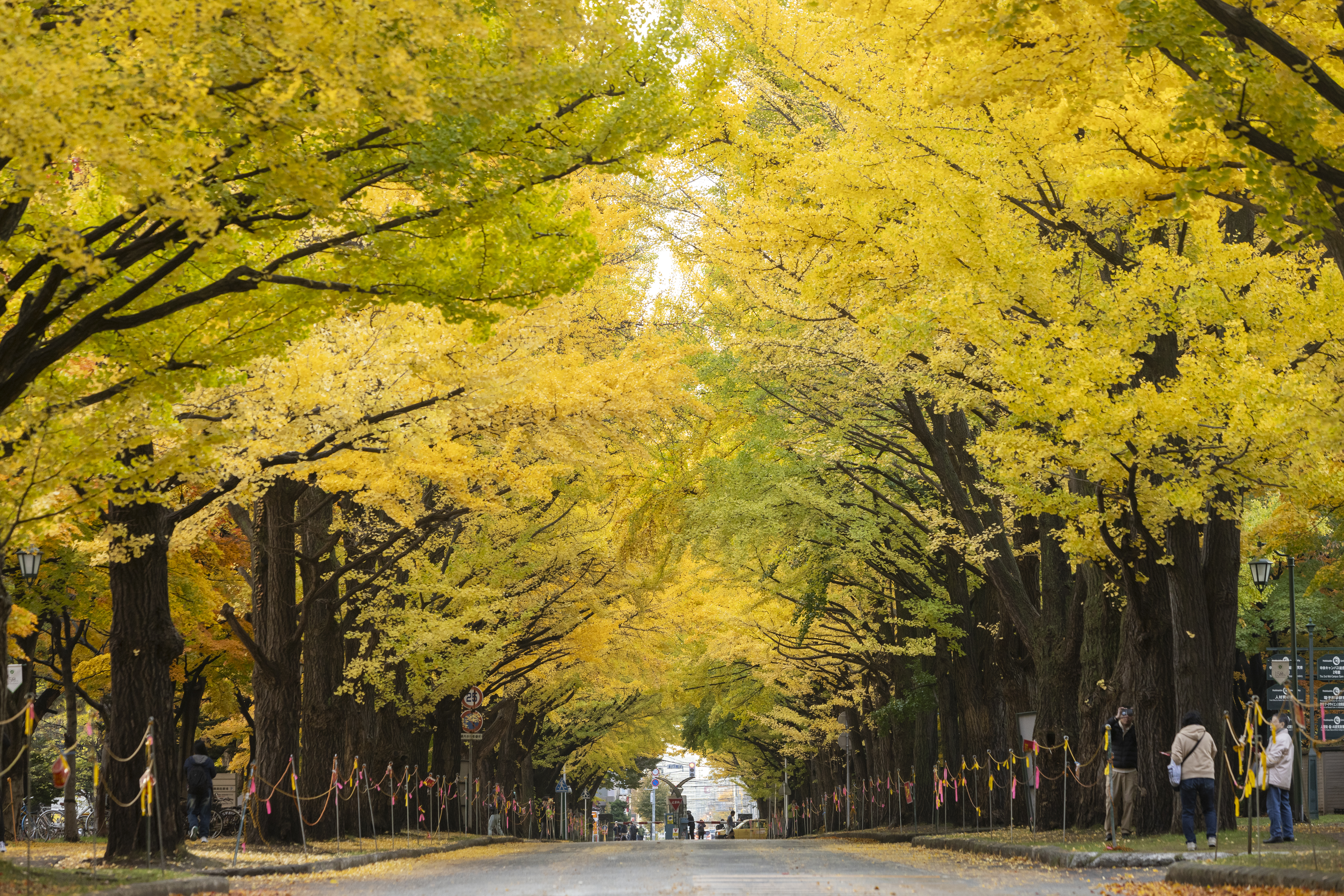 nagoya sangyo university