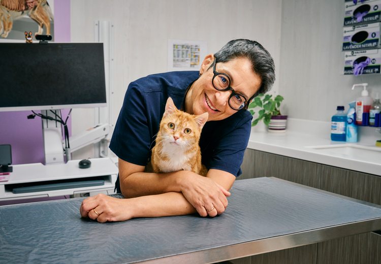 Julia Beatty, chair professor of veterinary medicine and infectious diseases, and clinical specialist in feline medicine at CityU HK’s Jockey Club College of Veterinary Medicine and Life Sciences