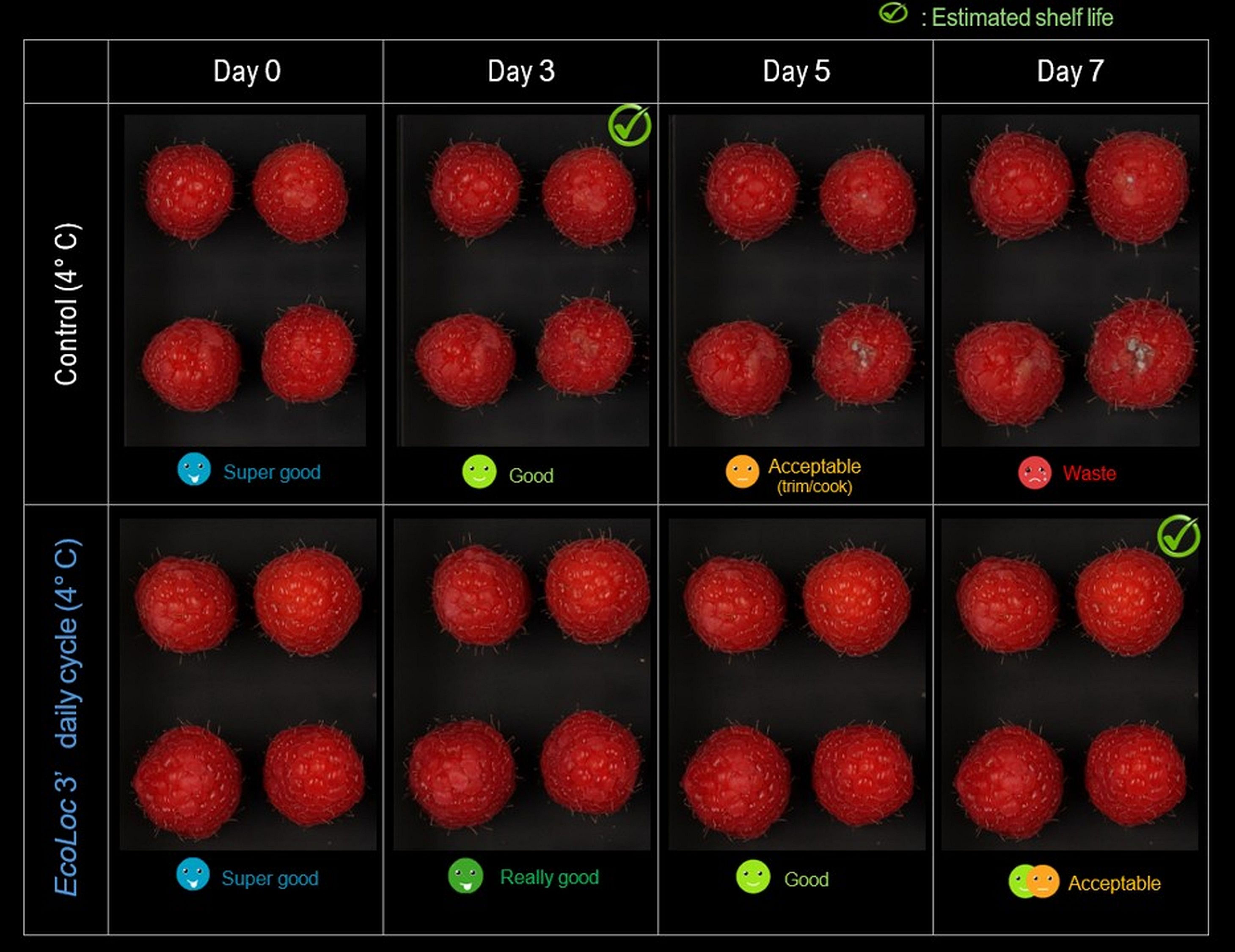 Raspberries stored at 4°C and disinfected using EcoLoc for three minutes daily remained in an acceptable condition after seven days. Credit: PureFize Technologies.