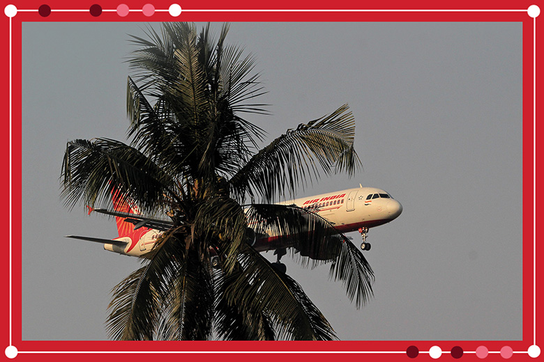 An Air India passenger flight prepares for landing at the Biju Patnaik International Airport seen behind a tree, illustrating branch campuses in India.