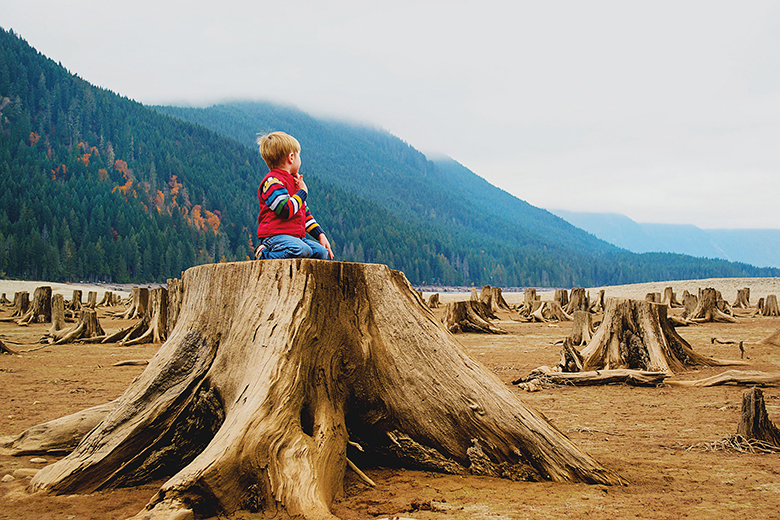 Boy sitting on tree stump