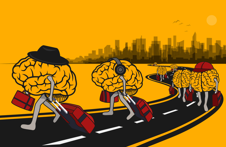 Brains travelling along a road