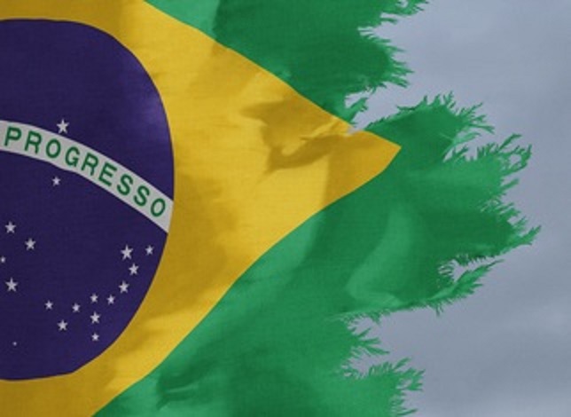 Tattered Brazilian flag