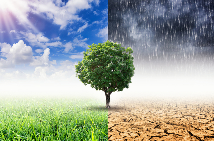 climate change