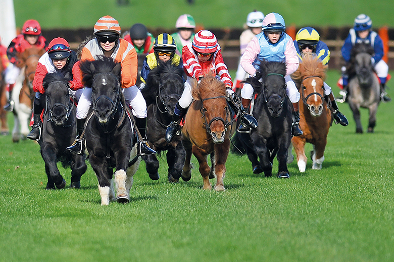 Horse race