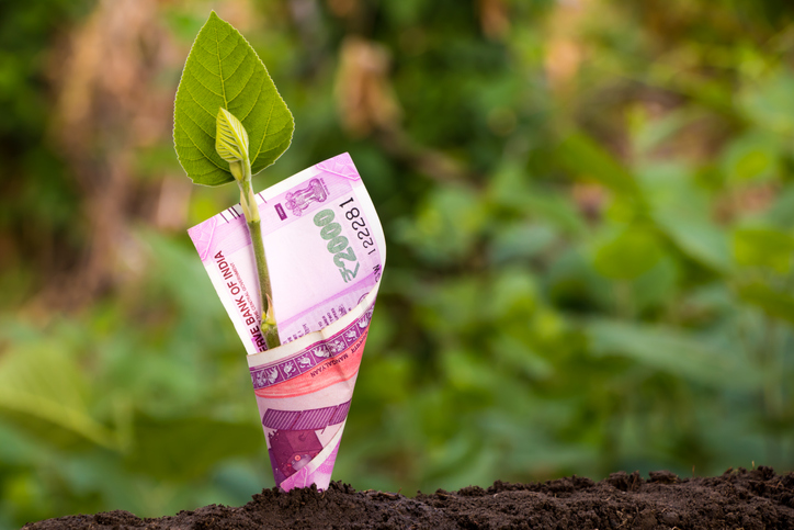 A green shoot with an Indian banknote wrapped around it illustrating funding for liberal arts in India