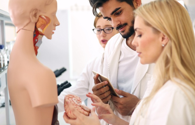 Medical trainees hold an anatomical dummy's brain, symbolising reorganising the NHS