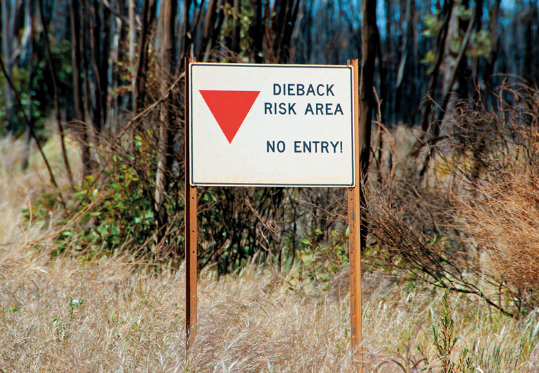 No Entry Sign for Dieback Risk Area to illustrate Caps, curbs and crises