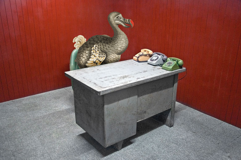 Dodo at a desk looking at telephones to illustrate Academics’ office hours are over