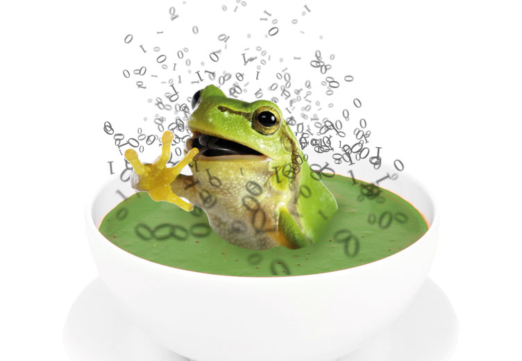 Montage of a frog in a bowl of green soup with coding to illustrate Of frog soup and icebergs