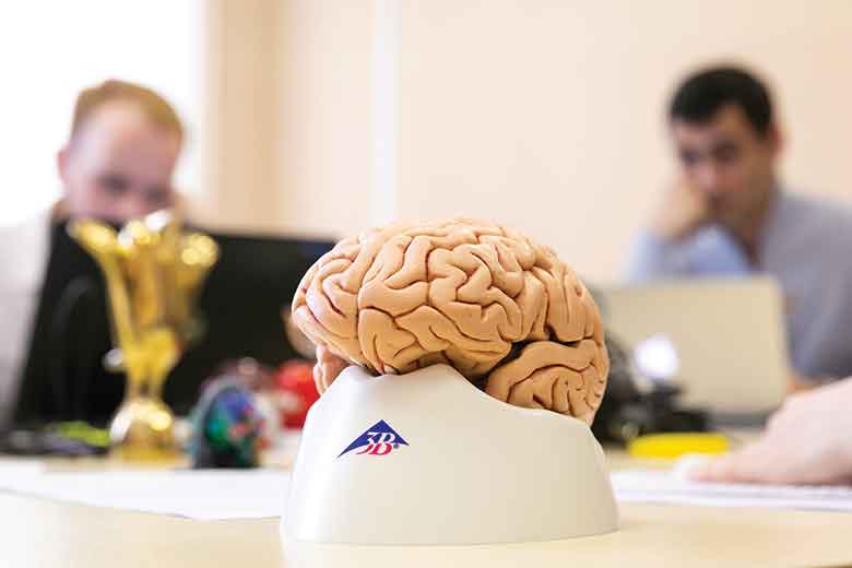 6-hse-brain-language