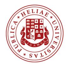 Ilia State University logo