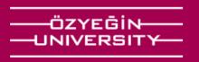Ozyegin University logo