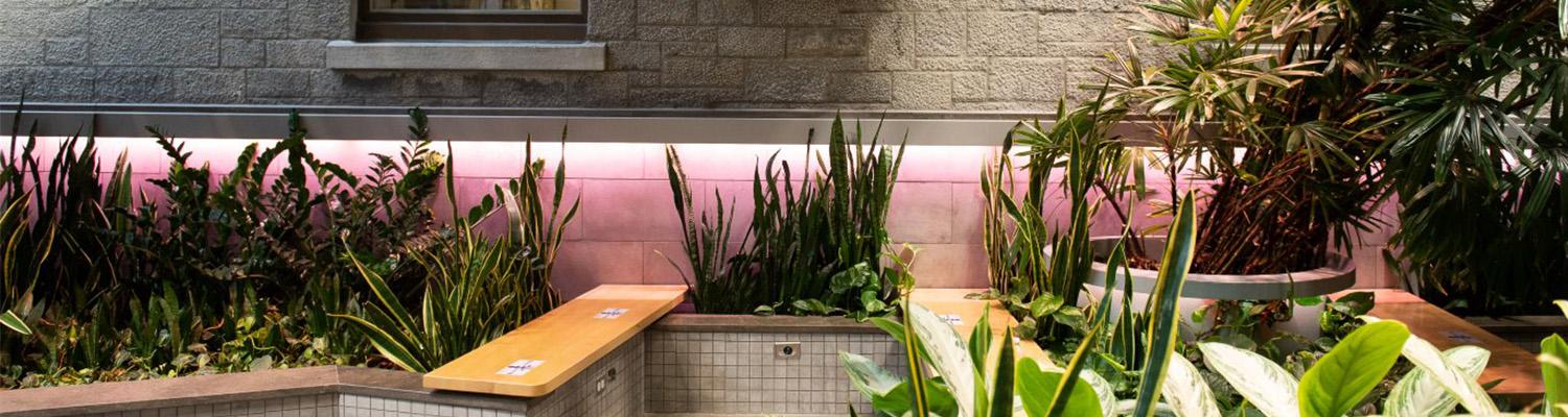 Green spaces at McGill