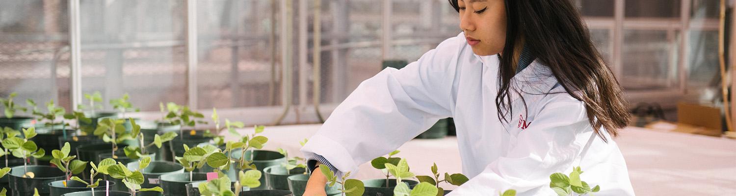 Inside the Plant Research Centre