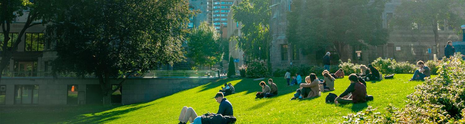 Sunny Lower Field-Edit