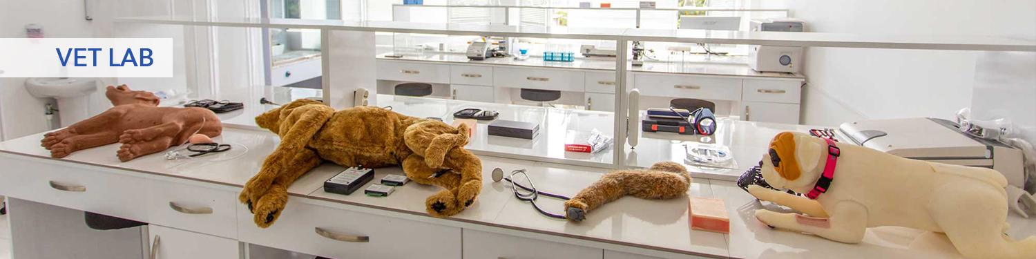 Vet-Lab(2).jpg