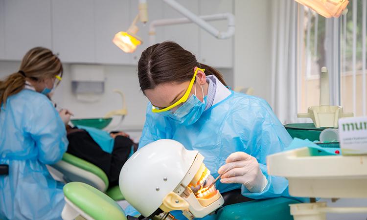 Stomatology Cabinet -  enhancing skills before working on real patients 1