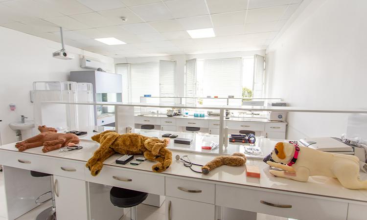 Vet Lab(1)