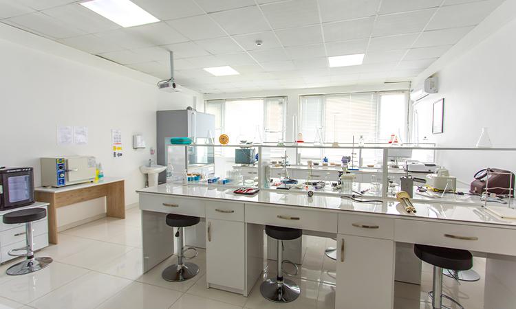 Vet Lab(3)