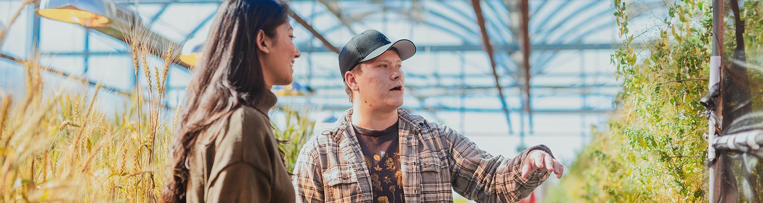 Greenhouse2 higher ed