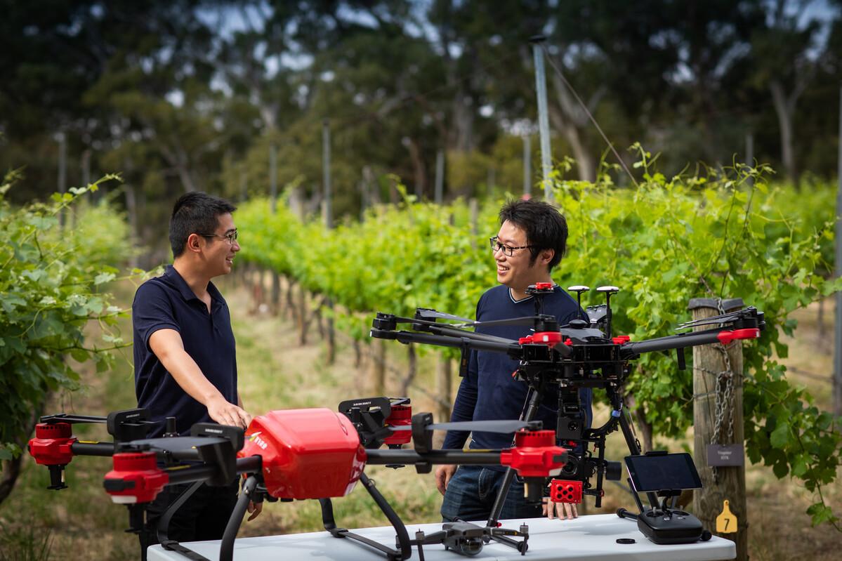 Students with drones in Waite Campus vineyard.jpg
