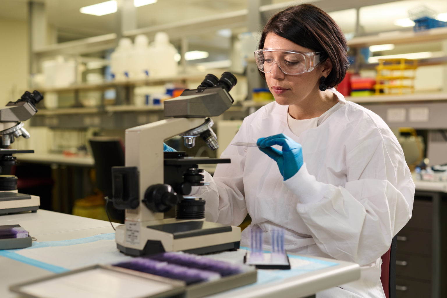 2025_HDR_campaign_06