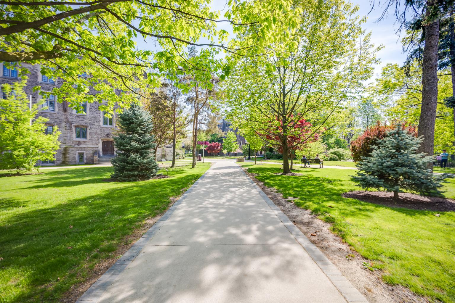 McMaster Faculty Hollow_12.jpg