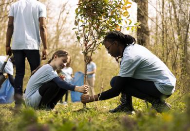 School child helping to plant a tree