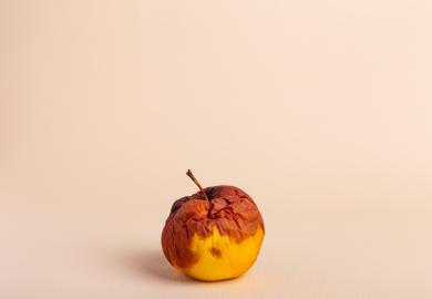 Rotten apple